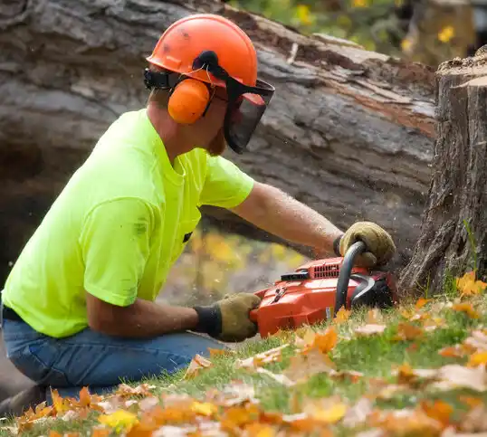 tree services Briarcliff Manor